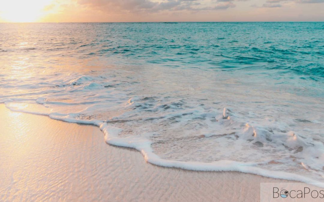 Earth Month In Boca Raton: City Rolls Out April Calendar Of Cleanups, Workshops, Movies And More