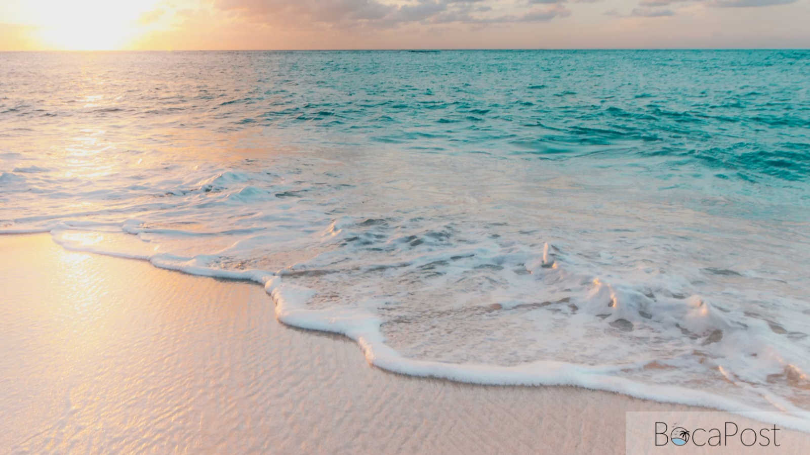 Earth Month In Boca Raton - City Rolls Out April Calendar Of Cleanups, Workshops, Movies And More