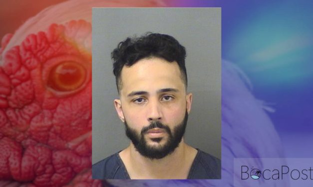 Man With Rifle Sparks Large PBSO Response Near West Boca Daycare, Charged With Animal Cruelty