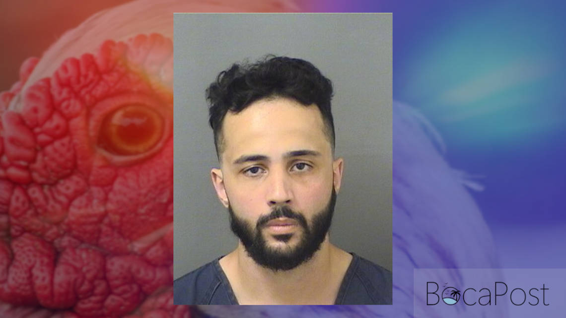Man With Rifle Sparks Large PBSO Response Near West Boca Daycare, Charged With Animal Cruelty - Arash Raffaty Javidan