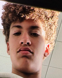 Fdle Issues Missing Child Alert For 15-Year-Old Reported Missing From Land O Lakes