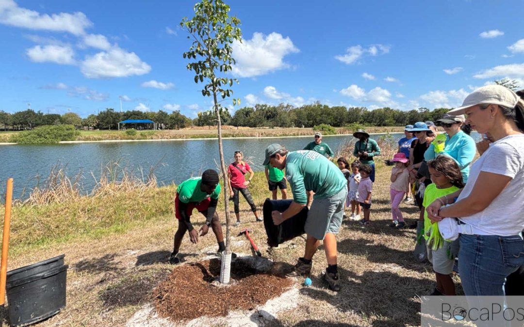 Boca Raton marks 46th year as Tree City USA with Earth Month events across the city