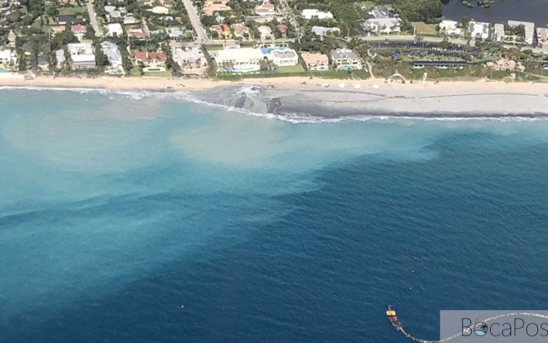 FAU Study Finds Beach Nourishment Murk May Overlap With Blacktip Shark Migration in Palm Beach County