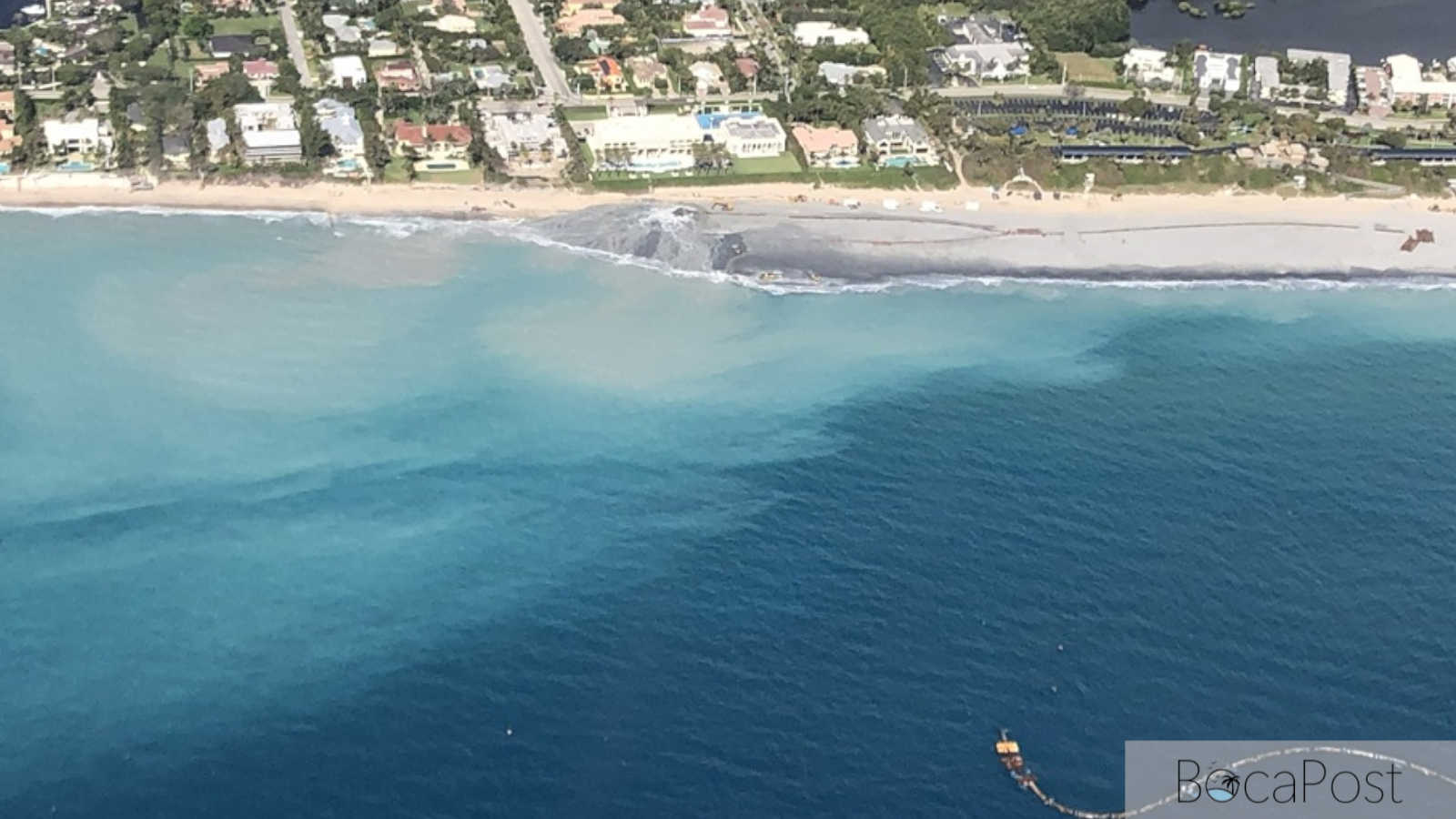 FAU Study Finds Beach Nourishment Murk May Overlap With Blacktip Shark Migration in Palm Beach County
