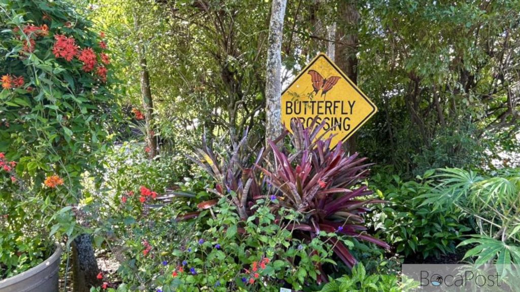 Free Earth Day Celebration Returns to Daggerwing Nature Center with Animal Shows, Ladybug Release, and Plant Sale