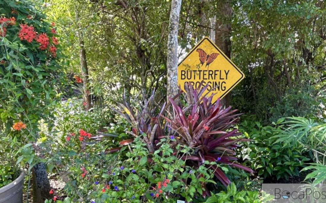 Free Earth Day Celebration Returns to Daggerwing Nature Center with Animal Shows, Ladybug Release, Plant Sale, More