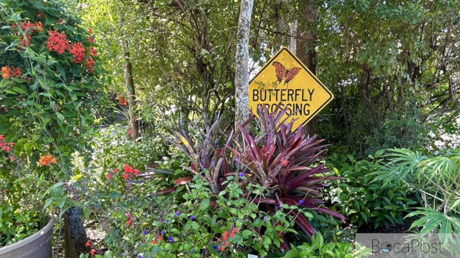 Free Earth Day Celebration Returns to Daggerwing Nature Center with Animal Shows, Ladybug Release, and Plant Sale