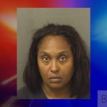 Wellington Rental Fraud Scheme - Woman Accused Of Using Fake Financials, Bouncing Checks Across Multiple Homes - Turia Pilar Grantlin
