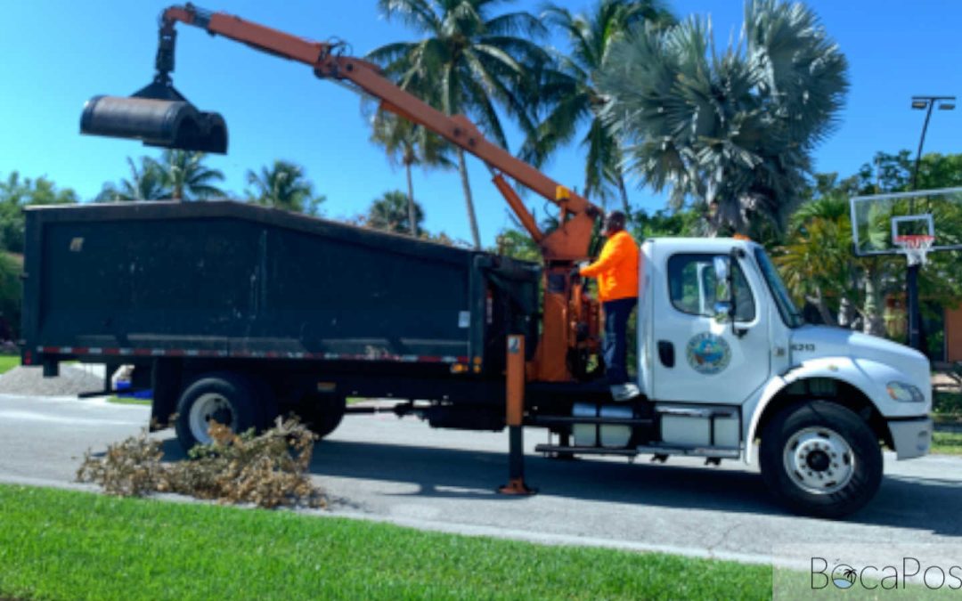 Boca Raton Adds Bulk, Vegetation Pickup Ahead Of Hurricane Season