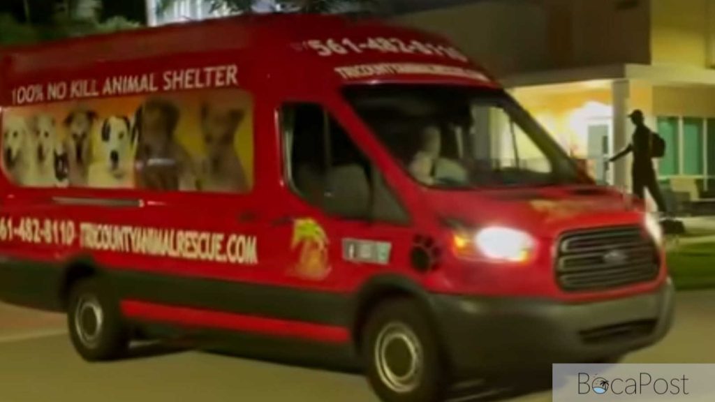 Boca Raton Rescue Heads To Tennessee After 146 Animals Found In Hoarding Case