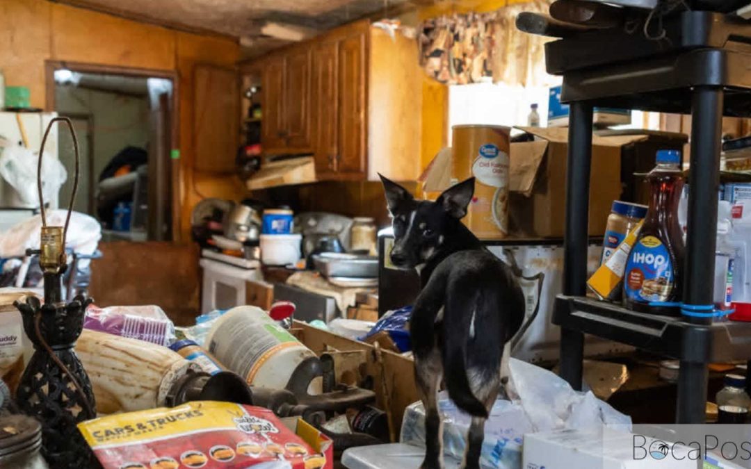 Boca Raton Rescue Seeks Help For 50 Dogs From Tennessee Neglect Case