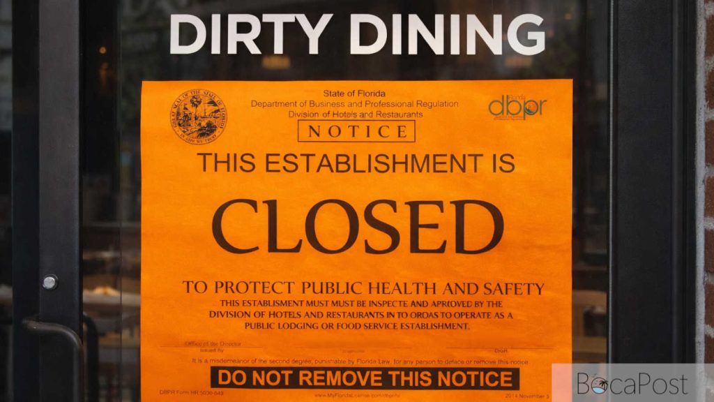 Dirty Dining Roaches, Unsafe Temperatures Trigger South Florida Restaurant Closures