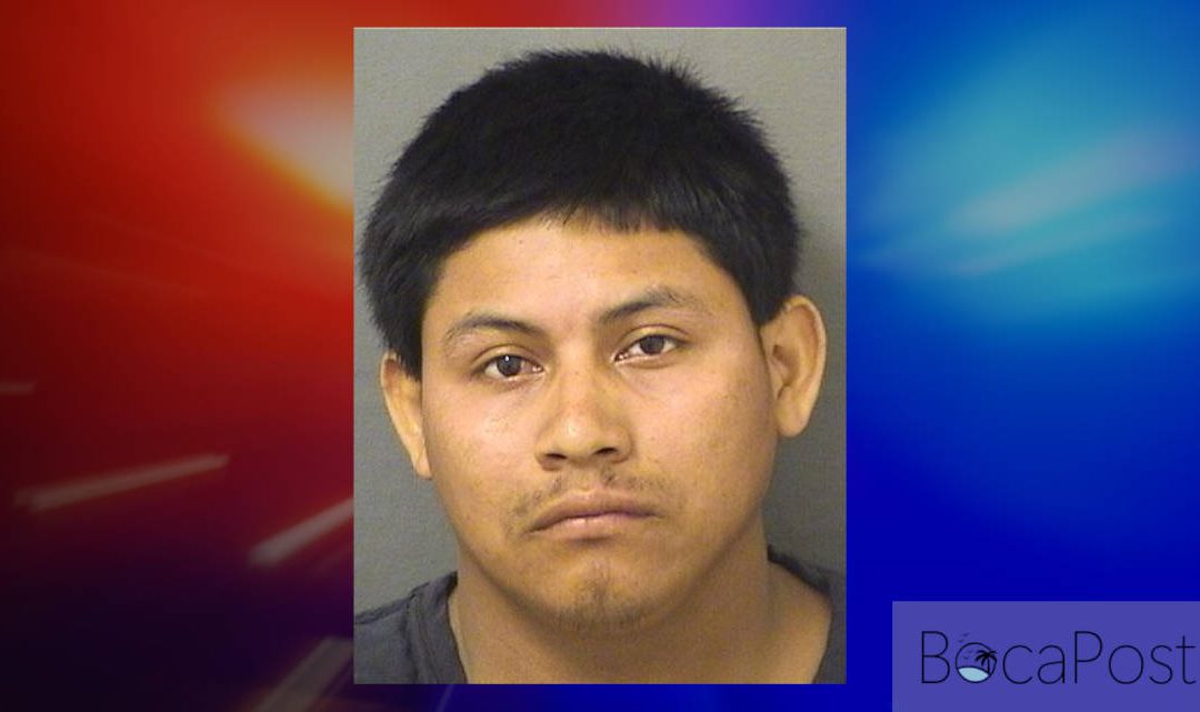 Man Accused of Lewd Act in Boca Raton Neighborhood Yard Arrested by Police