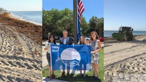 Spanish River Park Beach Gets Blue Flag Honor Amid Sargassum Concerns