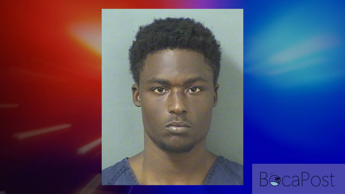Woodfield Burglary Suspects Tracked By Drone, K9, Helicopter