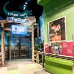 Museum Of Discovery And Science Build A Better World Gallery With Interactive Everglades And Ecology Exhibits.
