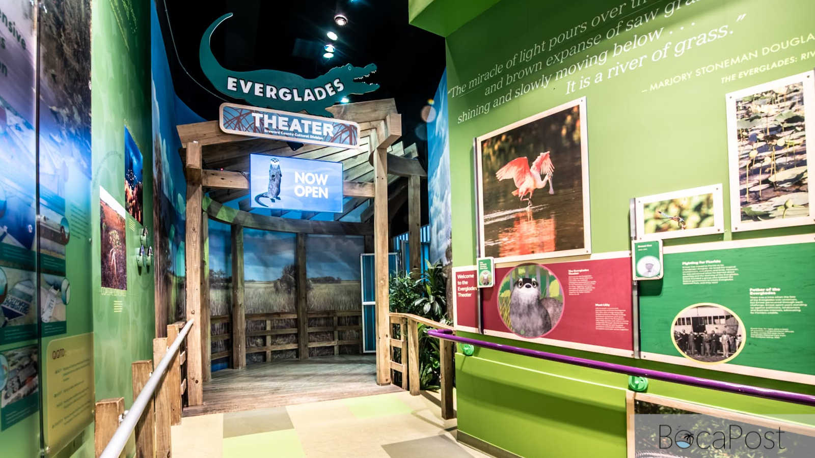 Museum of Discovery and Science Build a Better World gallery with interactive Everglades and ecology exhibits.