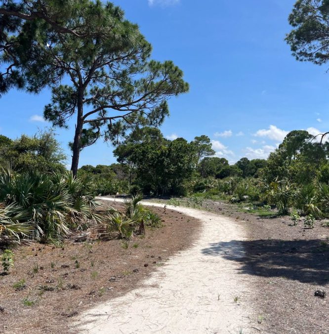 Gopher Tortoise Preserve Opens In Boca Raton After Years Of Construction Delays - Boca Post