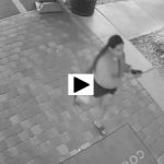 Bso Releases Surveillance Video In Dania Beach Attempted Carjacking Investigation