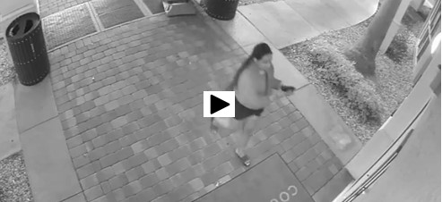 BSO releases surveillance video in Dania Beach attempted carjacking investigation